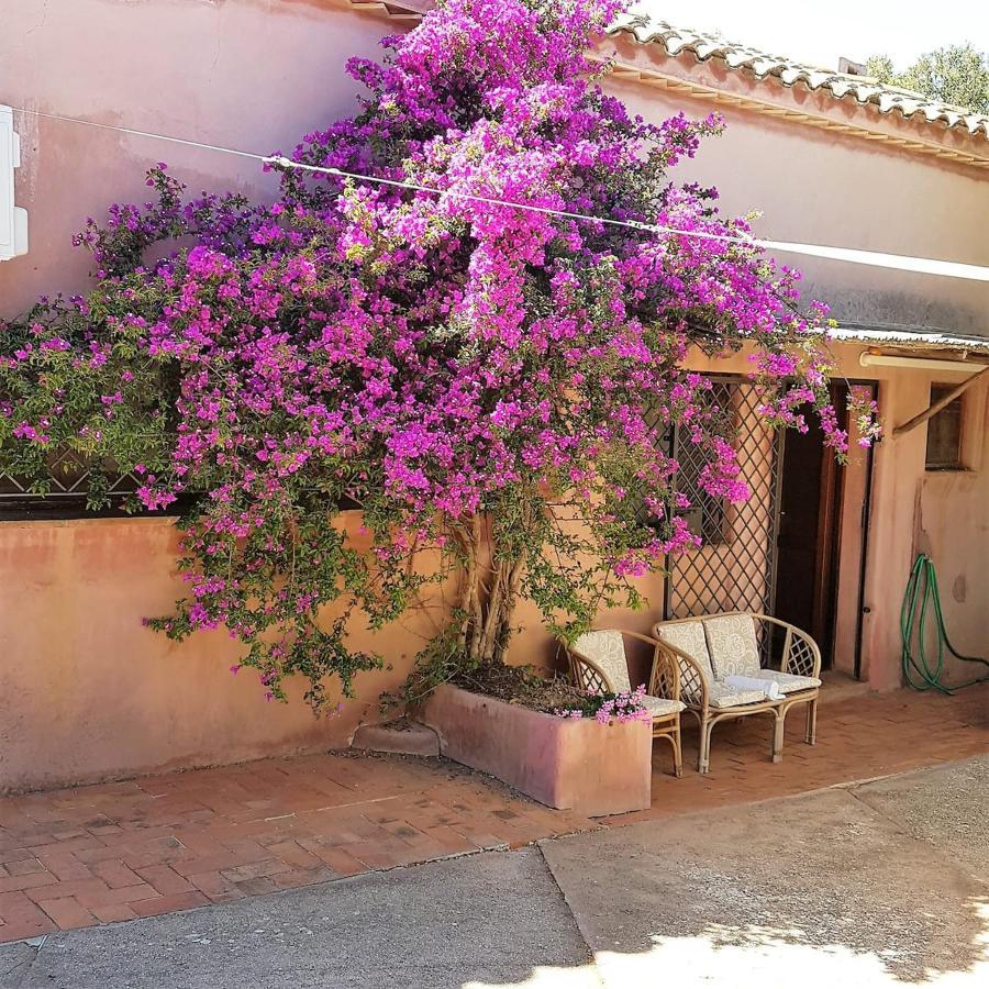 B&B Le Corti Di Aloa Сан-Панталео Экстерьер фото